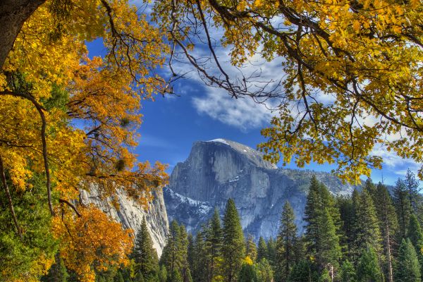 san francisco to yosemite bus tour