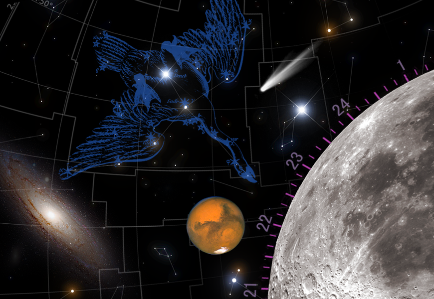 Peter Harrison Planetarium - Image 3 | WeShare