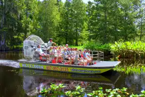 Wild Florida Airboats -- 1 hour airboat tour wildlife park admit & Gator Demo