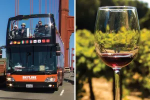 City & Wine: Hop On Hop Off Tour & Half Day Wine Tour