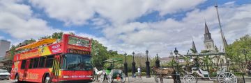 Featured image for City Sightseeing New Orleans 2-Day 2-Tour Hop-On Hop-Off Package