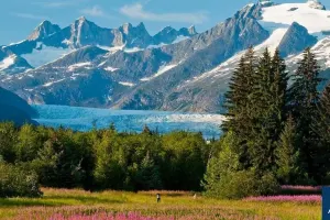 Juneau Extended City Tour with Glacier Gardens