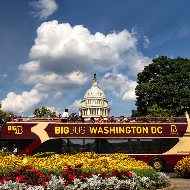 Big Bus Washington Discover 1 Day Hop On Hop Off Tour - Alloggi in Washington D.C.