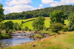 Full Day: Yorkshire Dales from Windermere