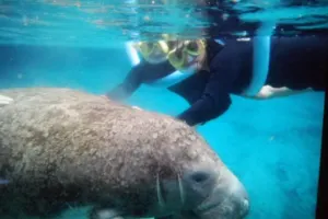 Florida Adventure Tour