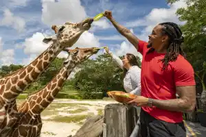 Zoo Miami - General Admission