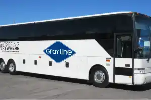 Gray Line Night Tour
