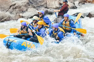 Browns Canyon Half Day Whitewater and Zipline Package