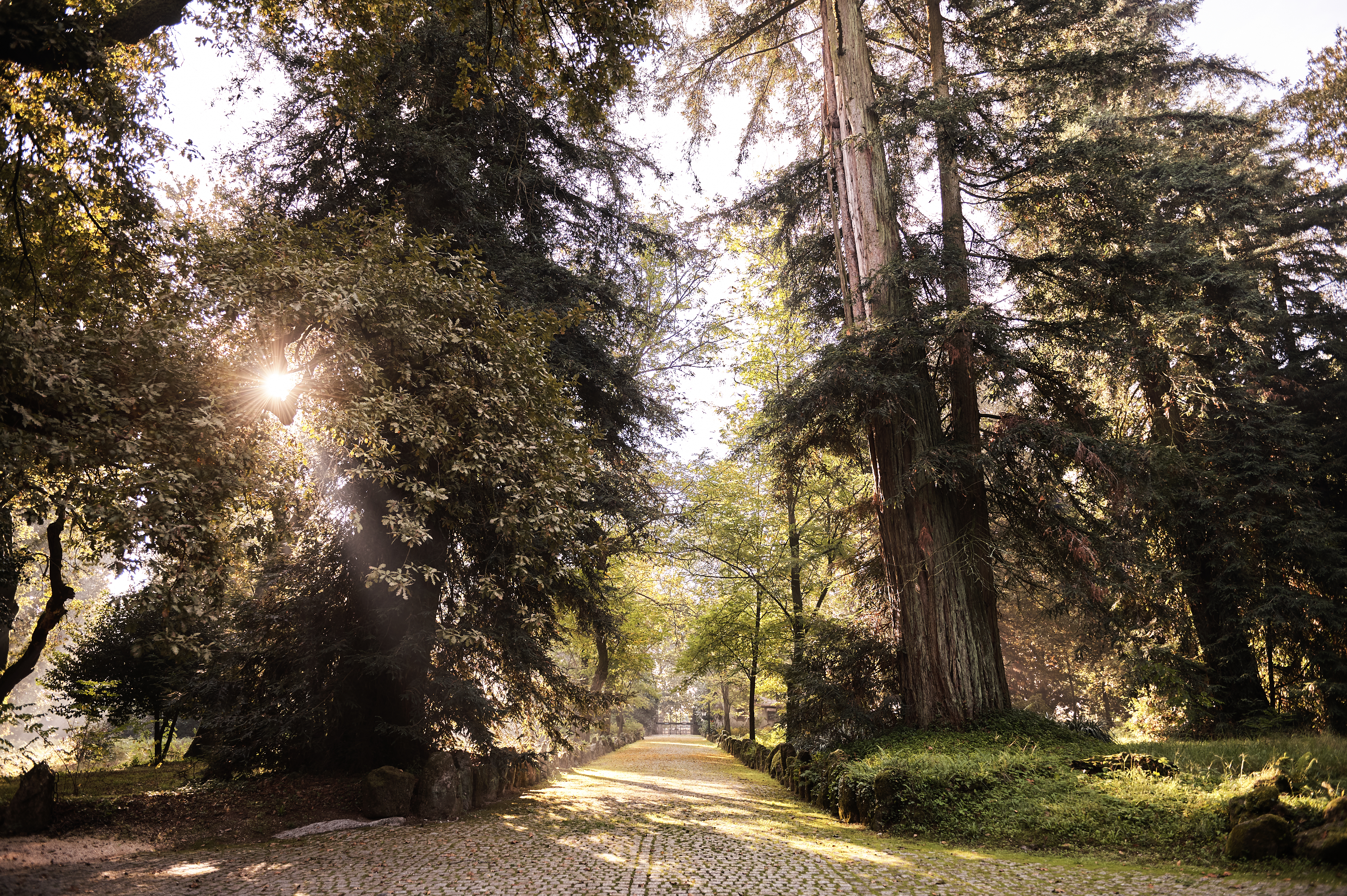 Quinta da Aveleda Gardens