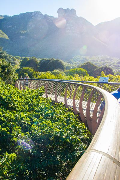 Kirstenbosch Gardens