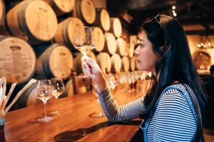Private Muir Woods and California Wine Country Tour