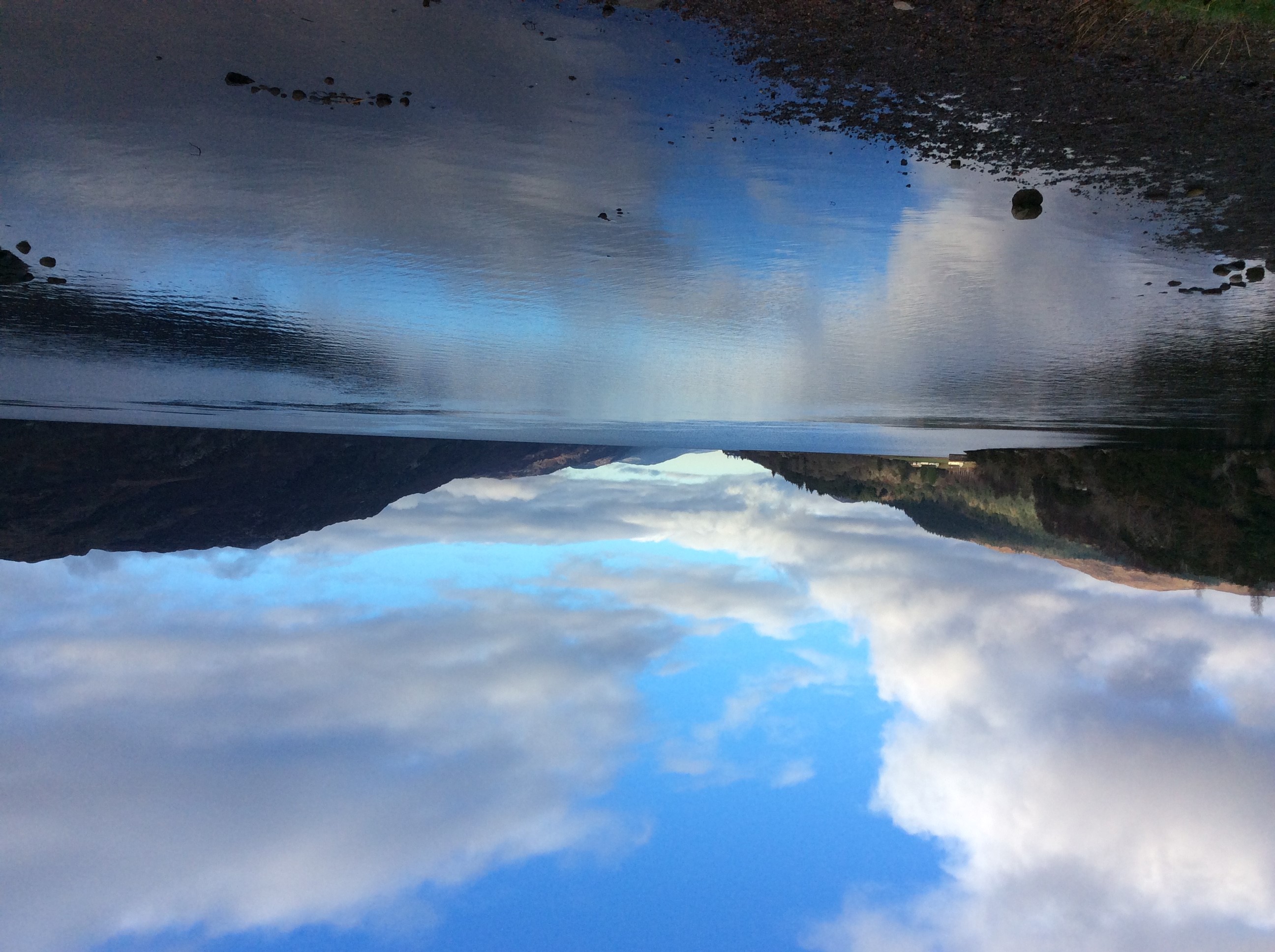 Highland Adventure: Lochs, Waterfalls and Rewilding Experience from Inverness – Image 4 | WeShare