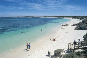 City to Surf with Bayseeker Island Tour