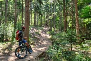 Enjoying a break among the trees