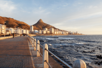 Where to Watch the Rugby World Cup in Cape Town