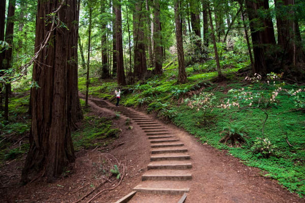 Park entrance fee is included in tour price!