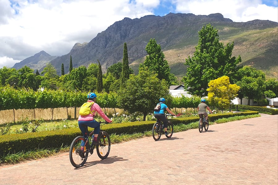STELLENBOSCH BIKE TOUR