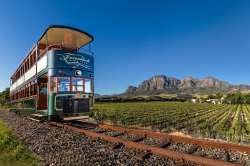 Plan a leisurely day in the Winelands with the Franschhoek Wine Tram