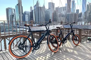 Brooklyn Bridge All Day Bike Rental by Fancy Apple