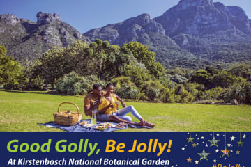 GOOD GOLLY, BE JOLLY at Kirstenbosch this hoilday