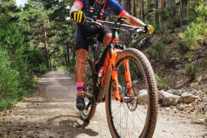 Gravel Bikes