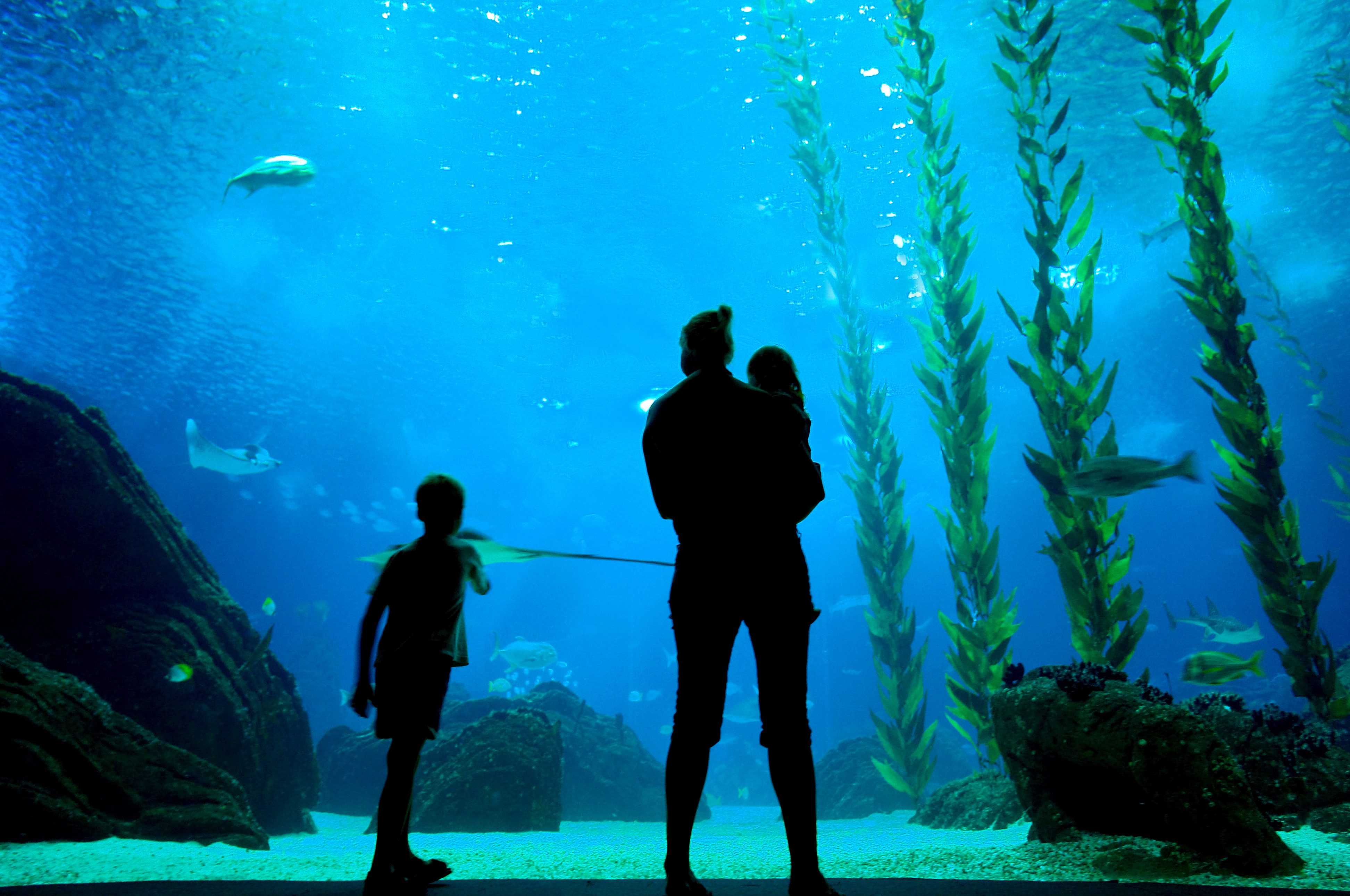 Oceanário de Lisboa