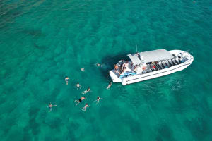 Visit to the Palma marine reserve: Caves, cliffs and snorkeling