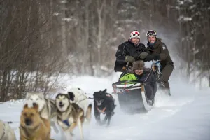 Traineau à chiens - Aventure Personalisée - Journée Complète