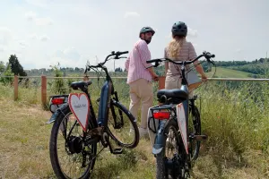 Tour en grupo reducido a Chianti en bicicleta eléctrica