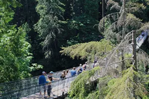 Vancouver Capilano Suspension Bridge - All Day Ticket Admission
