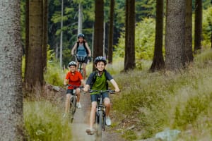 Comfort Bikes