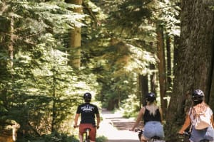 Stanley Park