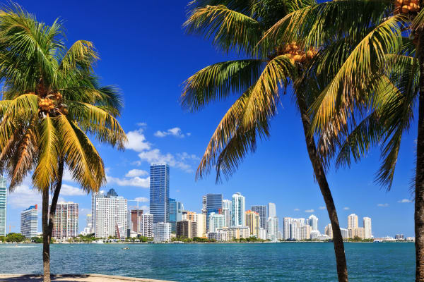 MIAMI BEACH E-BIKE TOUR