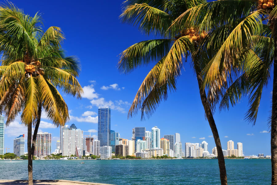 MIAMI BEACH E-BIKE TOUR