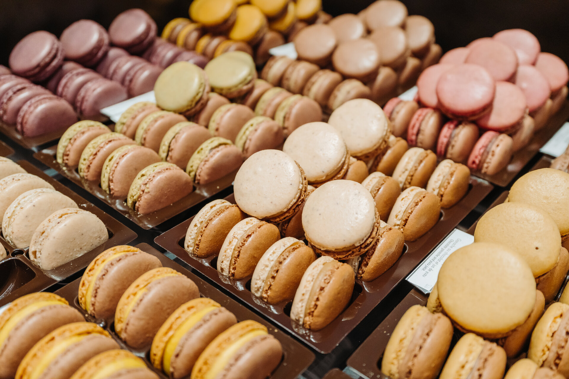 Paris Ultimate Food Tour in Semi-Private Group - Accommodations in Paris