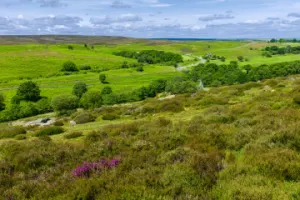 Private North York Moors & Whitby