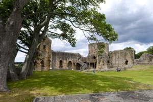 Image 2