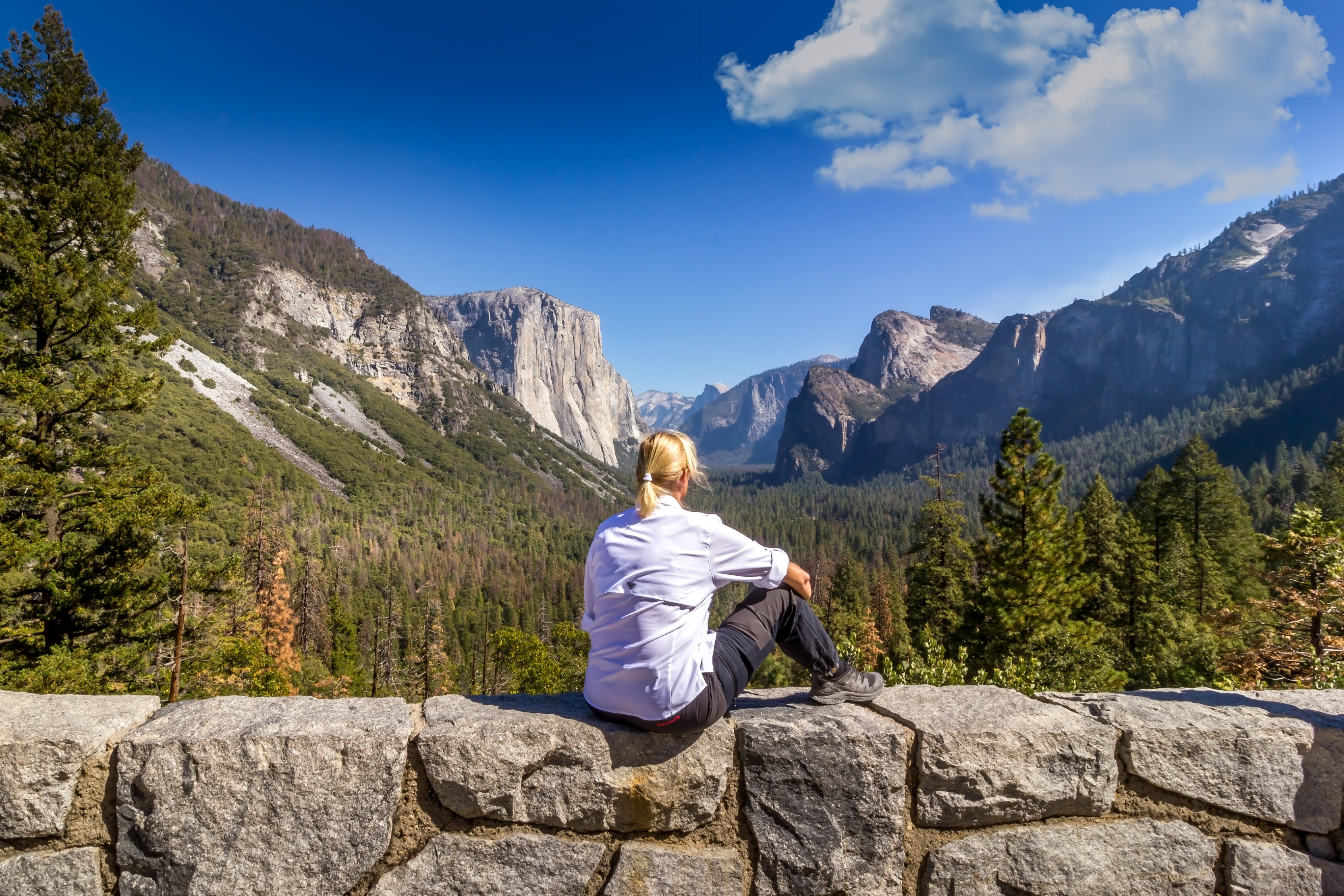 Yosemite National Park Day Trip with Pick- up
 - Accommodations in San Francisco