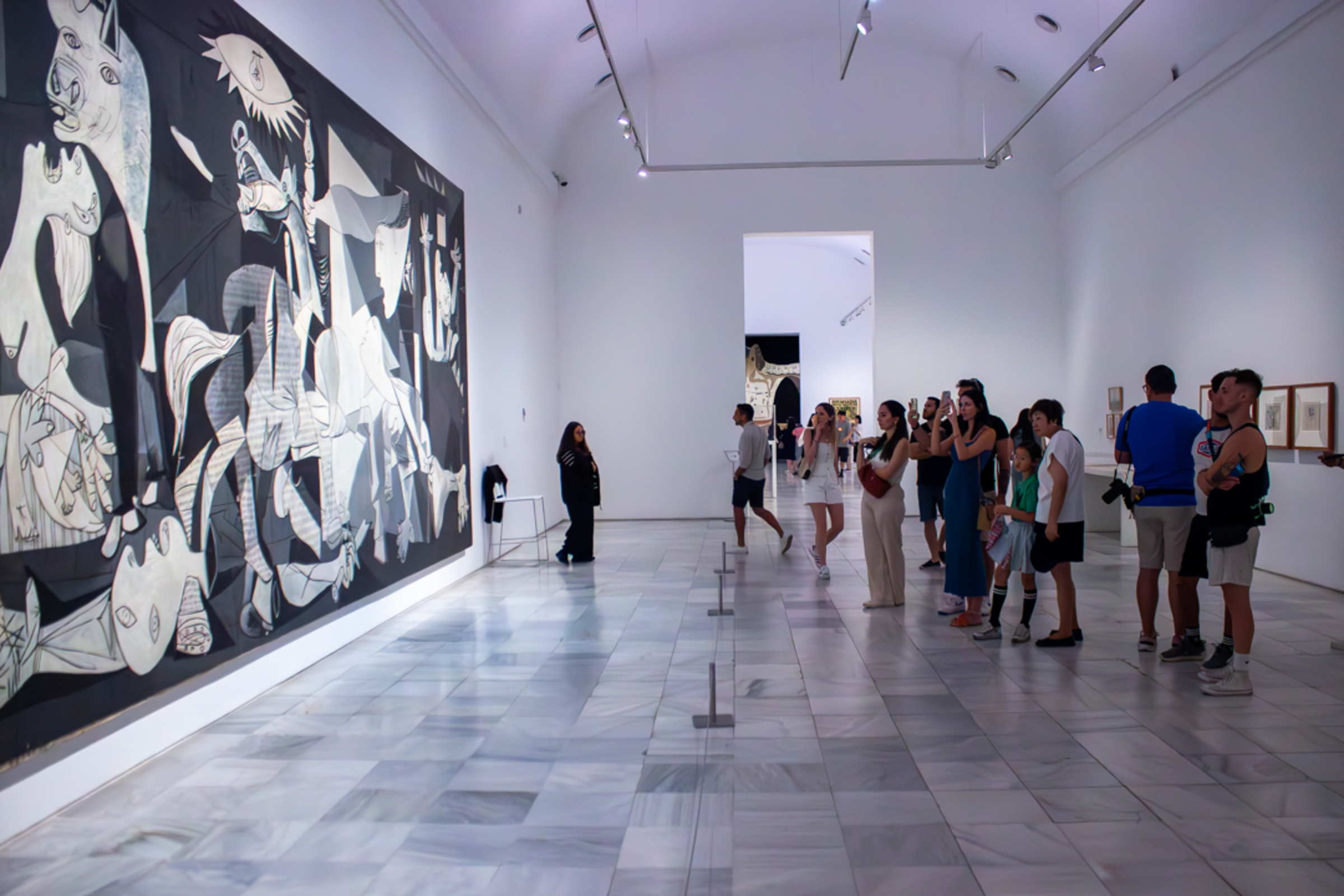 Fast Track Access to the Reina Sofía Museum