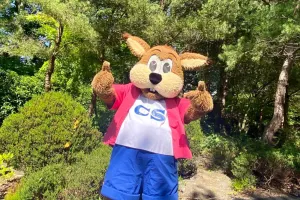 Showtime @ The Island