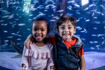 7 School Holiday Activities in Cape Town