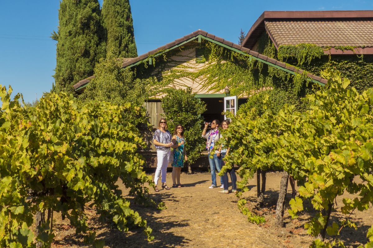 Napa Valley and Sonoma Full Day Wine Tour from San Francisco