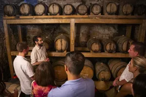 Private Siena and San Gimignano tour with dinner