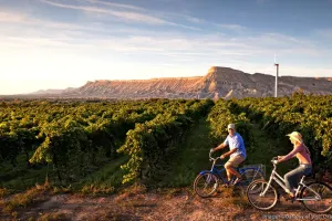 Wine Country Cycling Vacation: 4 Day E-Bike Tour (Aspen to Palisade)
