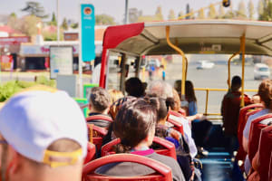 City Tour