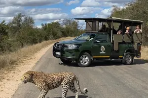 Kruger & Panorama Safari