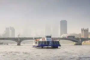 Afternoon Tea Cruise on the River Thames