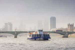 Afternoon Tea Cruise on the River Thames