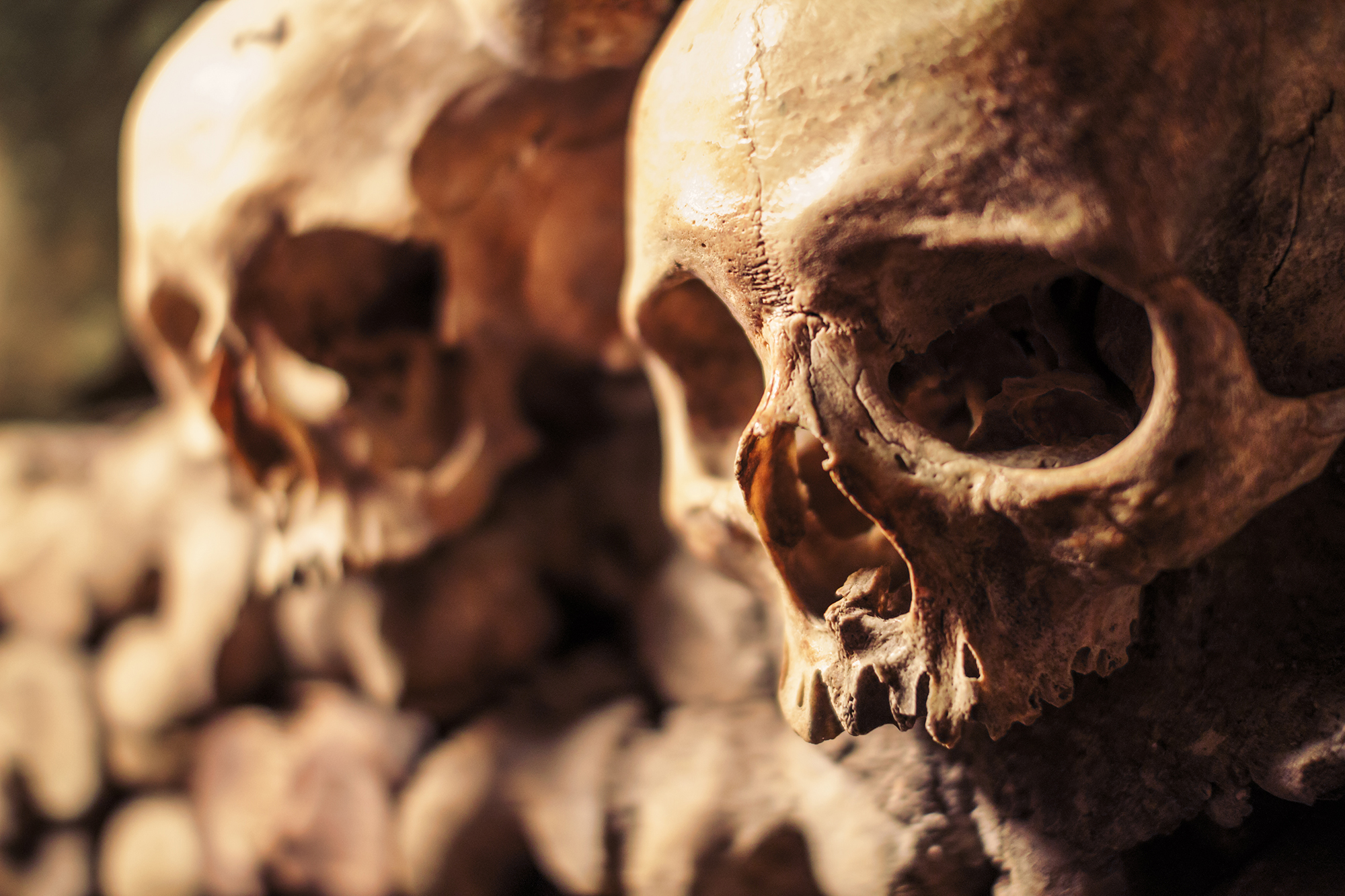 Skip-the-Line Paris Catacombs Special Access Tour in Small Group - Alojamientos en Paris