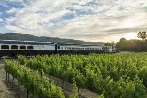 Legacy Experience Special Edition | 6-Hour Napa Valley Train